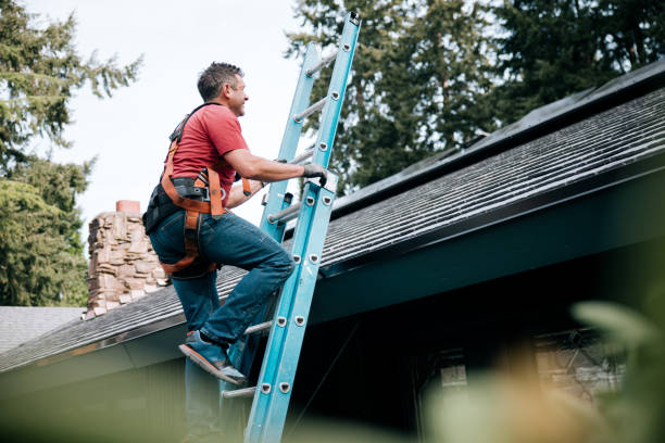 Best Roof Moss and Algae Removal  in Howey In The Hills, FL